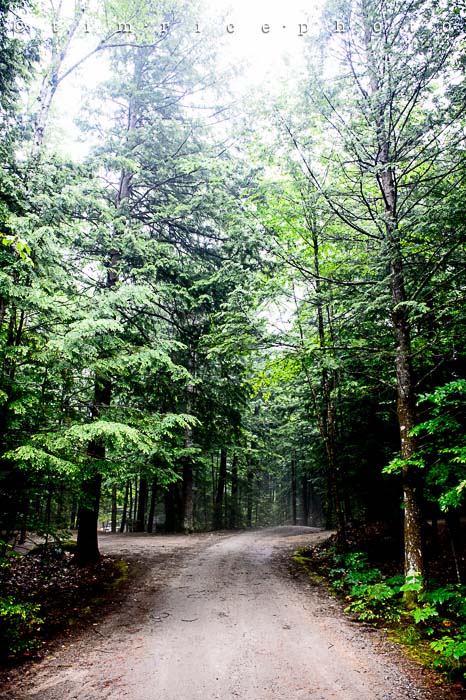 Yr5•267-365•1728•Rainy Day Camp