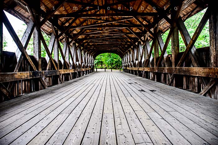 Yr5•268/365•1729 Artist's Bridge June 26, 2014