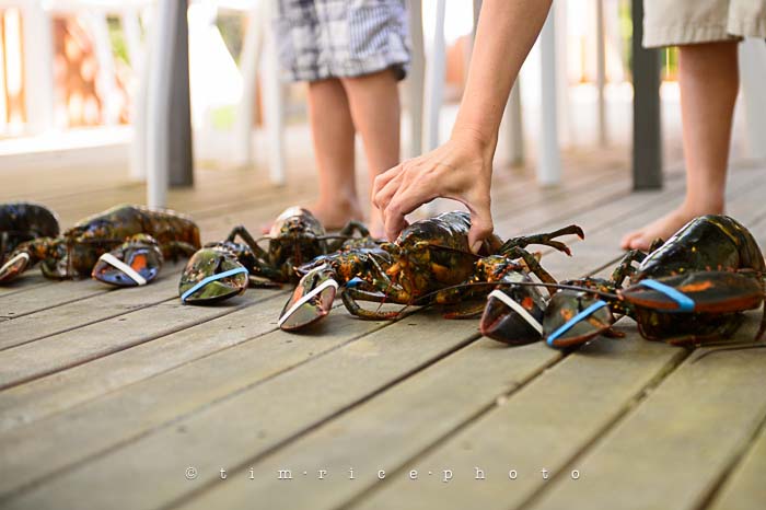 Yr5•269-365•1725•Summer Dinner