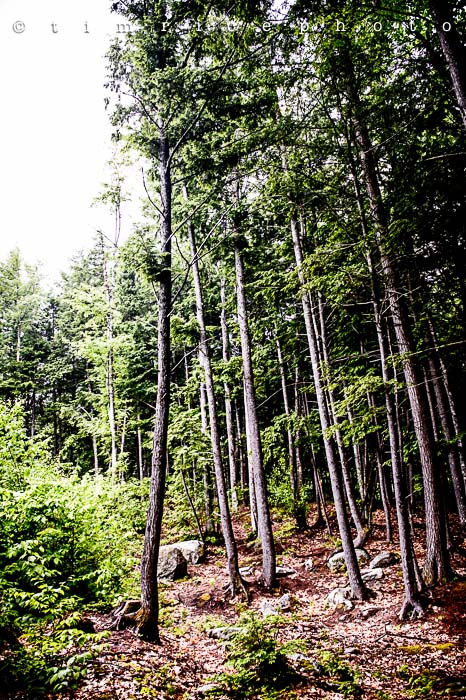 Yr5•269-365•1728•Rainy Day Camp