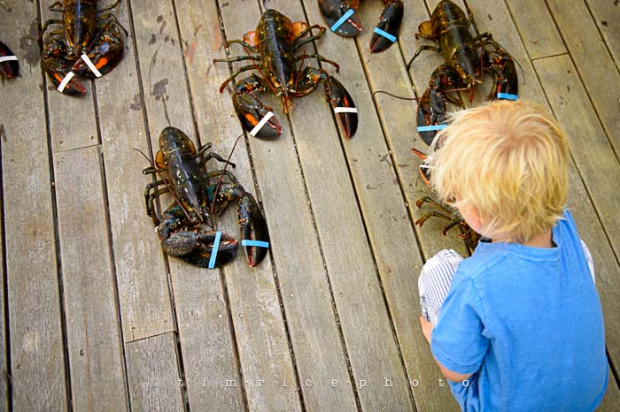 Yr5•270-365•1725•Summer Dinner