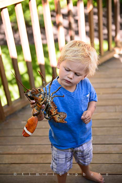 Yr5•271-365•1725•Summer Dinner