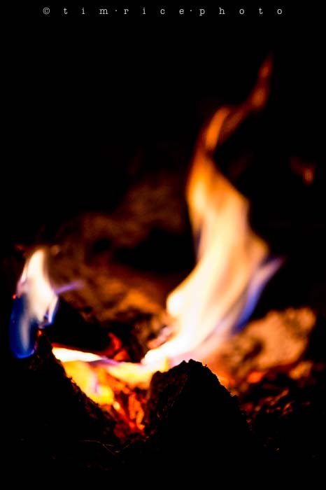 Yr5•271-365•1731•Playing with Fire