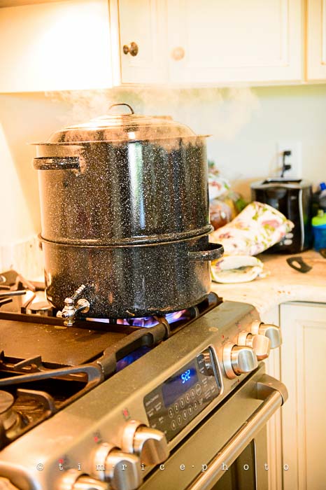 Yr5•277-365•1725•Summer Dinner