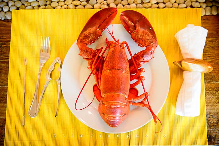 Yr5•279-365•1725•Summer Dinner