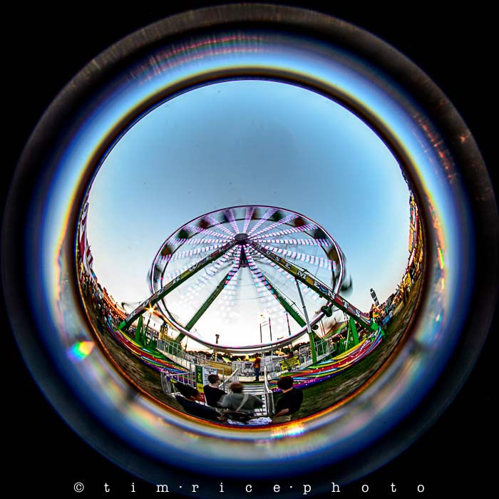 Yr5•241-365•1701•Dressed Up