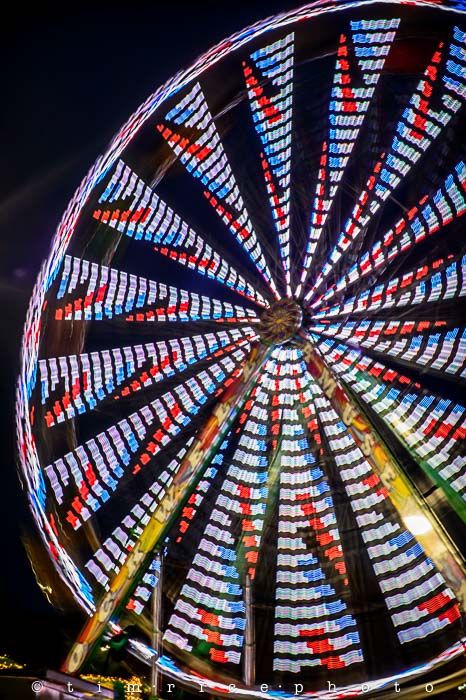 Yr5•243-365•1701•Dressed Up