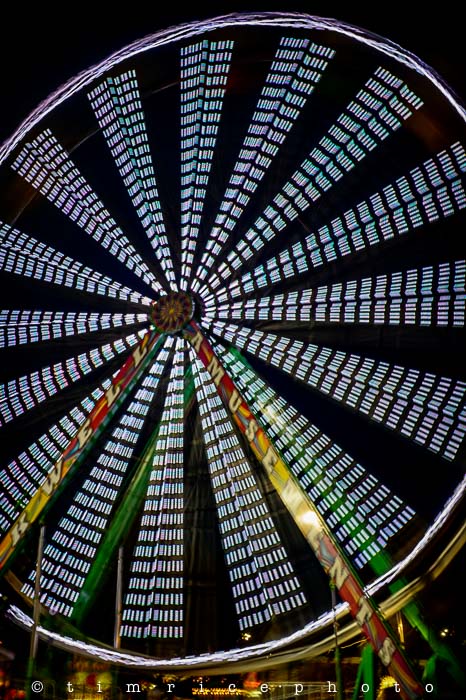 Yr5•245-365•1701•Dressed Up