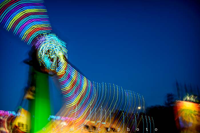 Yr5•247-365•1701•Dressed Up