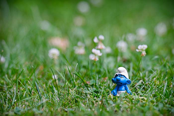 Yr5•274/365•1735 Hot Enough July 1, 2014