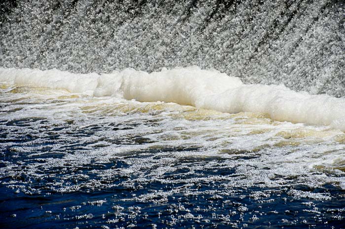 Yr5•277-365•1738•South Natick Geese