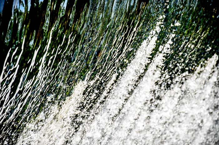 Yr5•281-365•1738•South Natick Geese