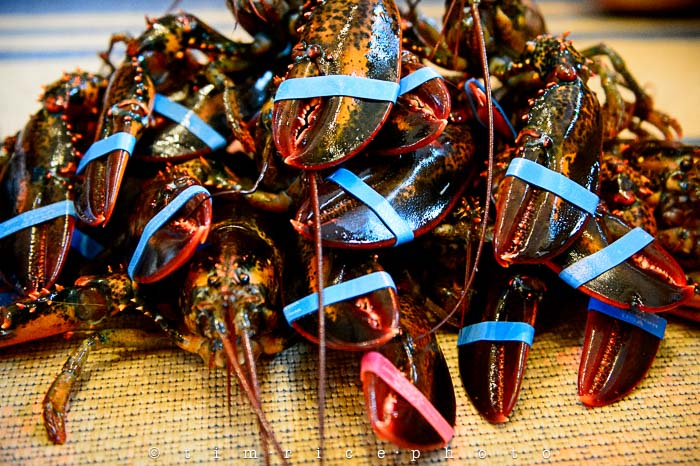 Yr5•292-365•1753•Summer Eatin