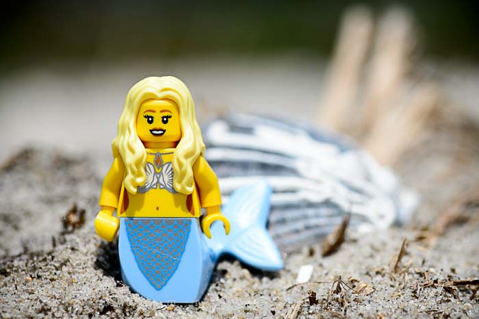Yr5•295-365•1701•Sand Legoboy