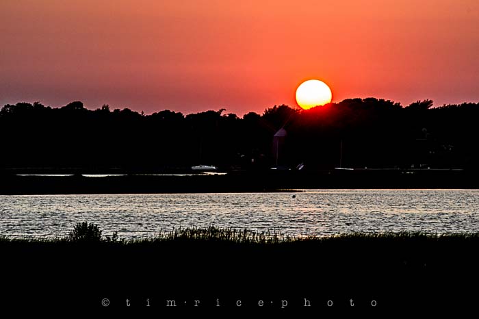 Yr5•296-365•1755•Mini Golfing