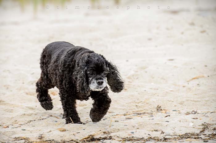 Yr5•296-365•1757•PD at Beach