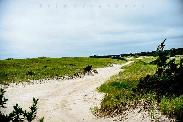 Yr5•297-365•1758•Cape Cod on Shelf