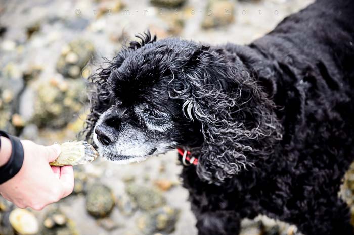 Yr5•298-365•1757•PD at Beach