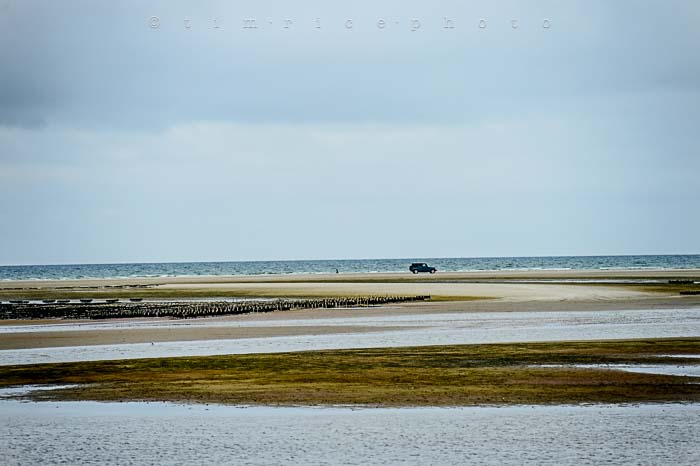 Yr5•299-365•1758•Cape Cod on Shelf