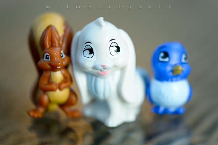 Yr5•299-365•1759•The Girls