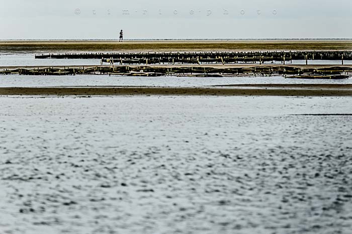 Yr5•300-365•1758•Cape Cod on Shelf