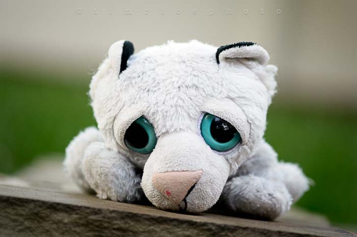 Yr5•300-365•1759•The Girls