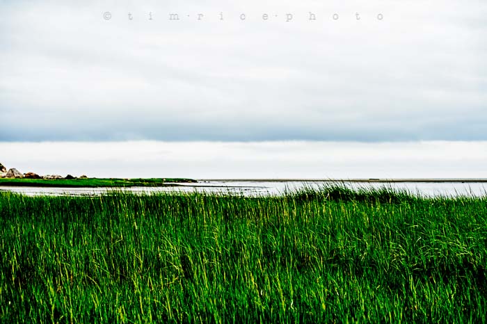 Yr5•301-365•1758•Cape Cod on Shelf