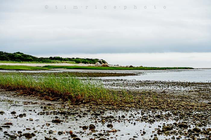 Yr5•302-365•1758•Cape Cod on Shelf