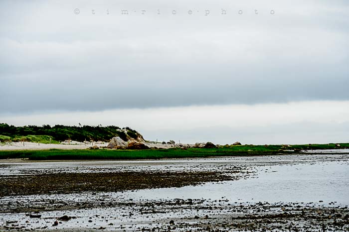 Yr5•303-365•1758•Cape Cod on Shelf