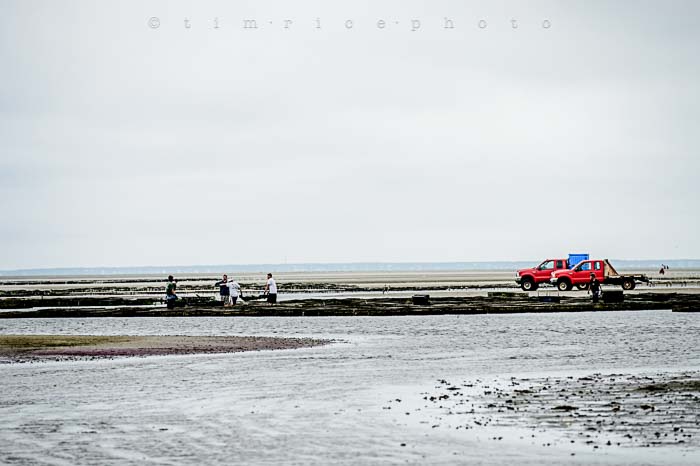 Yr5•304-365•1758•Cape Cod on Shelf