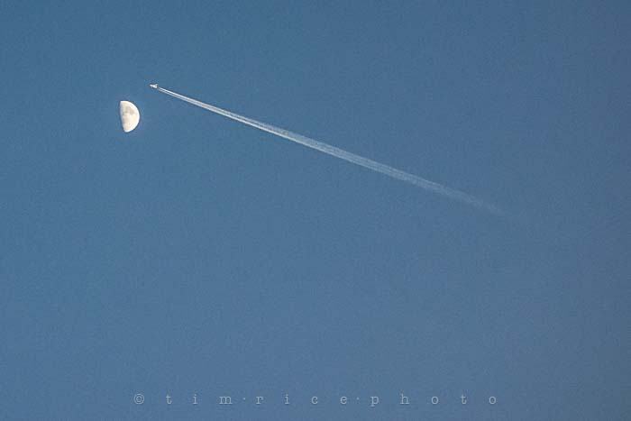 Yr5•307/365•1768 Fly Me To August 4, 2014