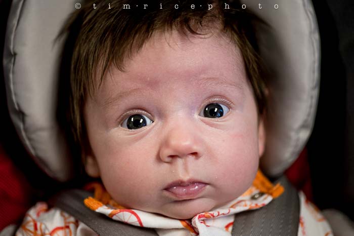 Yr5•308/365•1769 Ellie Q August 5, 2014