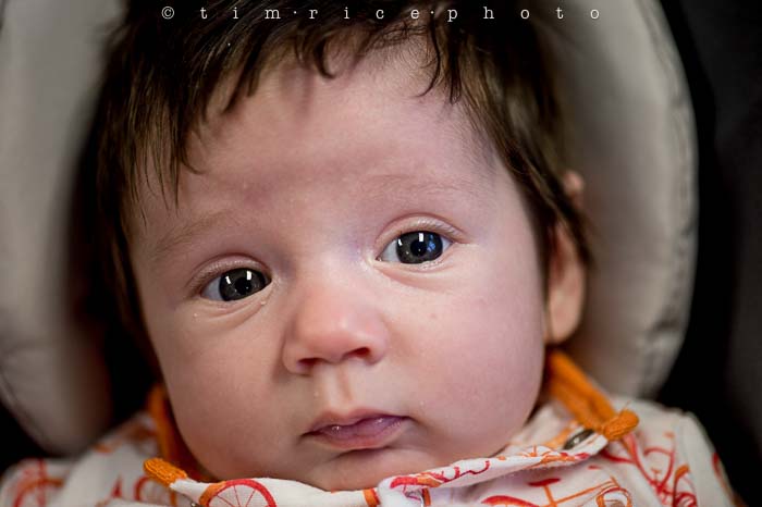 Yr5•311-365•1769•Ellie Q
