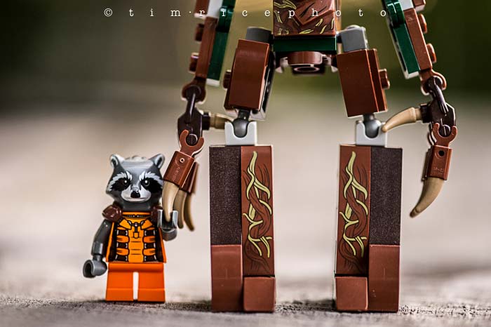 Yr5•311/365•1772 Dynamic Duo August 8, 2014