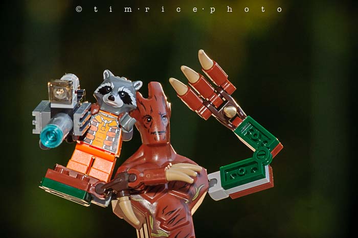 Yr5•311-365•1772•Dynamic Duo