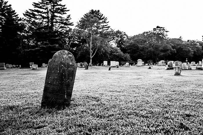 Yr5•312-365•1771•Whistle Past the Graveyard