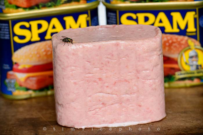 Yr5•315/365•1776 Spam August 12, 2014