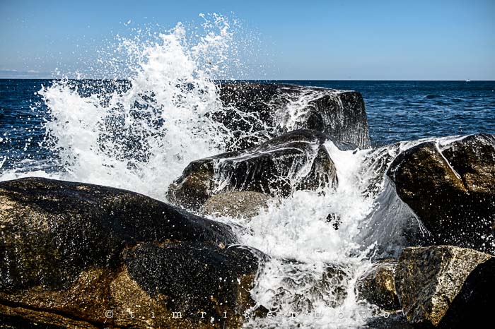 Yr5•317/365•1778 Ocean Meets Rocks August 14, 2014
