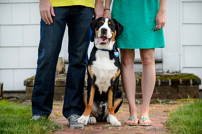 Yr5•320/365•1781 All About Otis August 17, 2014