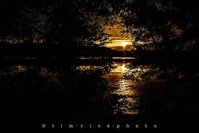 Yr5•346-365•1807•Not Another Day