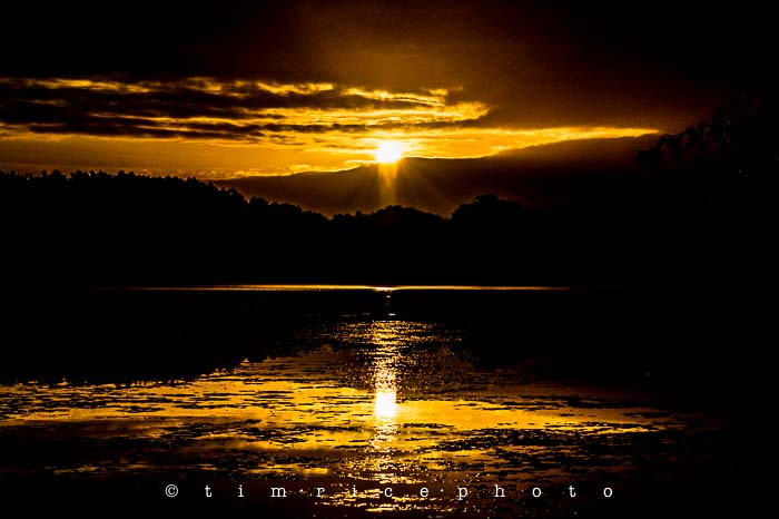 Yr5•347-365•1807•Not Another Day