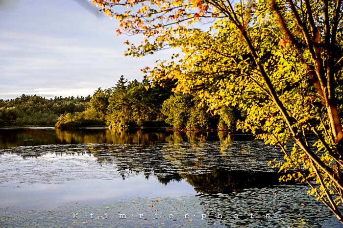 Yr5•348-365•1807•Not Another Day