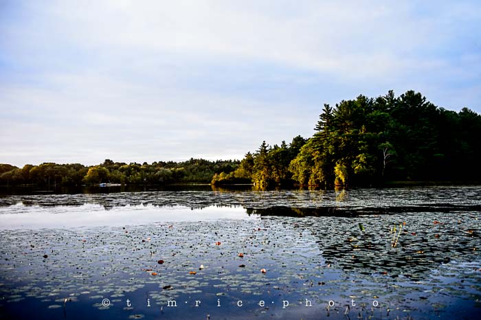 Yr5•349-365•1807•Not Another Day