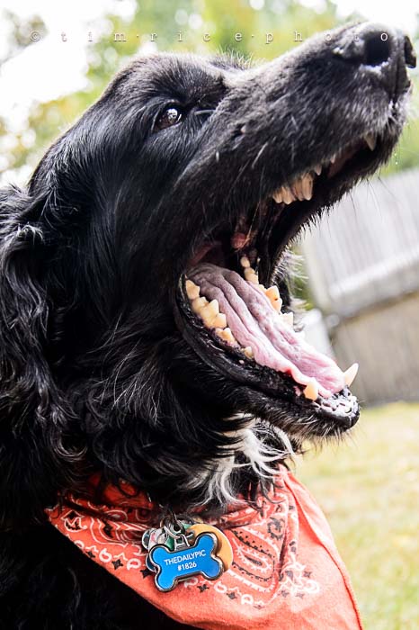 Yr5•365-365•1826•Happy 5th