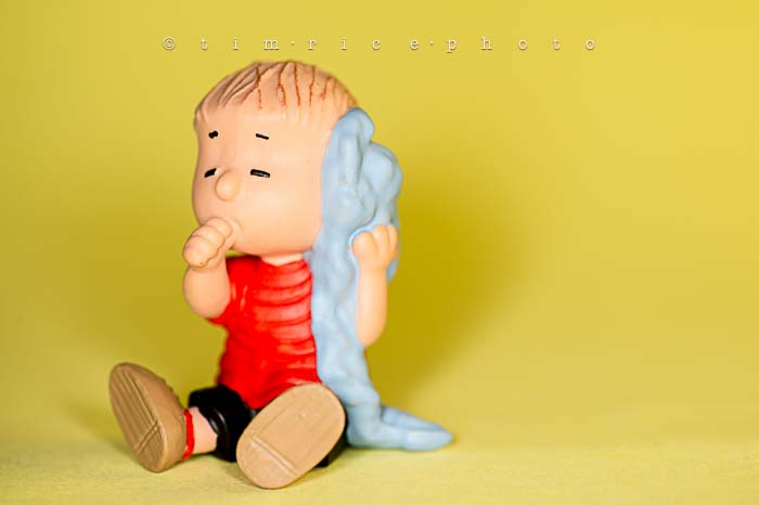 Yr6•002-365•1827•The Peanuts