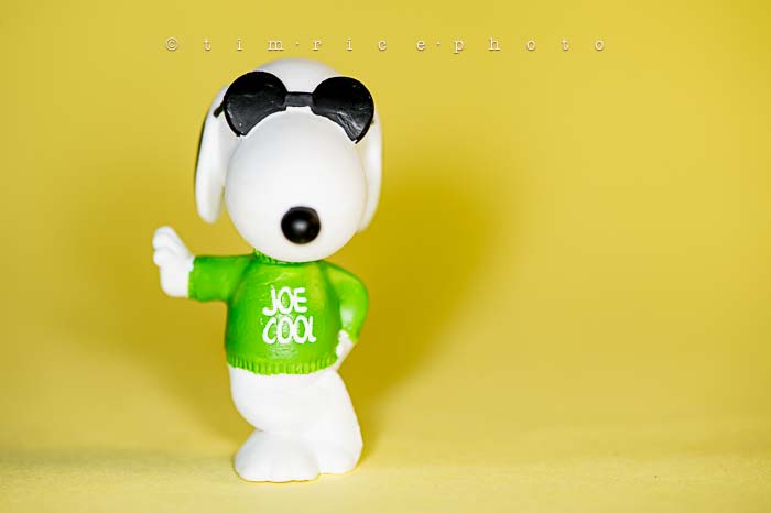 Yr6•004-365•1827•The Peanuts