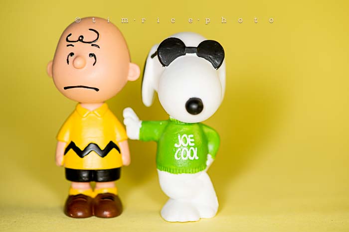 Yr6•005-365•1827•The Peanuts
