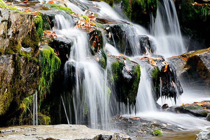Yr6•006-365•1830•Jackson Falls in the Rain