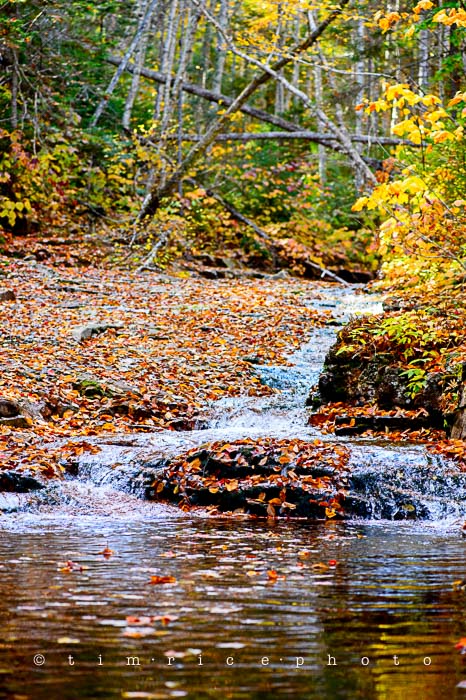 Yr6•006-365•1831•Autmn Falls-2