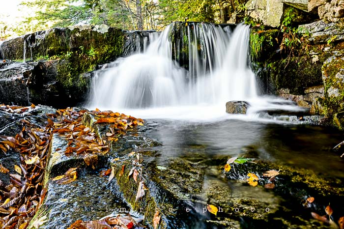 Yr6•006/365•1831 Autumn Falls October 6, 2014